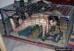 Amateur Slaves locked up in cages - N