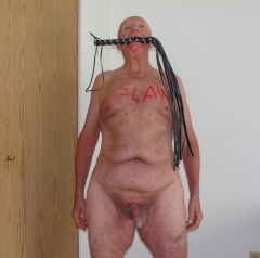 rich palmer lost another bet with sue - N