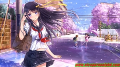 Hentai album 1 - N