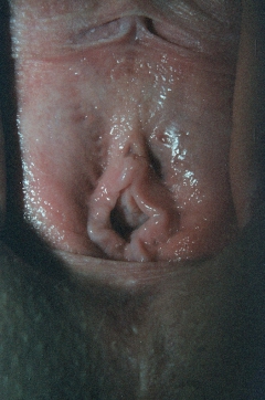 Slut wife hardcore fucking sucking a stranger closeup pussy - N