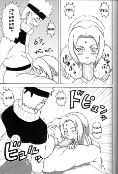 Chichikage Big Breast Ninja - N