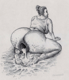 anal hole - N