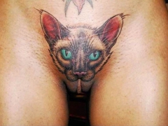 Pussy Decoration - N
