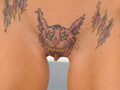 Pussy Decoration - N