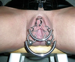 Pussy Decoration - N