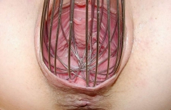 Pussy Insertion Factory II - N