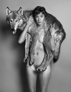 Art in Grey 1 - N