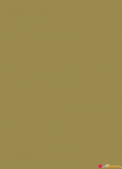 Neutral - N