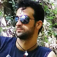 bahmannezam`s avatar