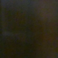 donnova856`s avatar