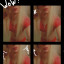 wh1tetrap420`s avatar