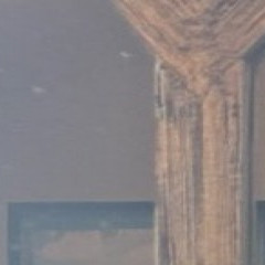 Tammyalison`s avatar