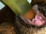 Hairy pussy bate while in public bathroom