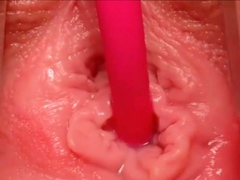 lovense-extreme-close-up